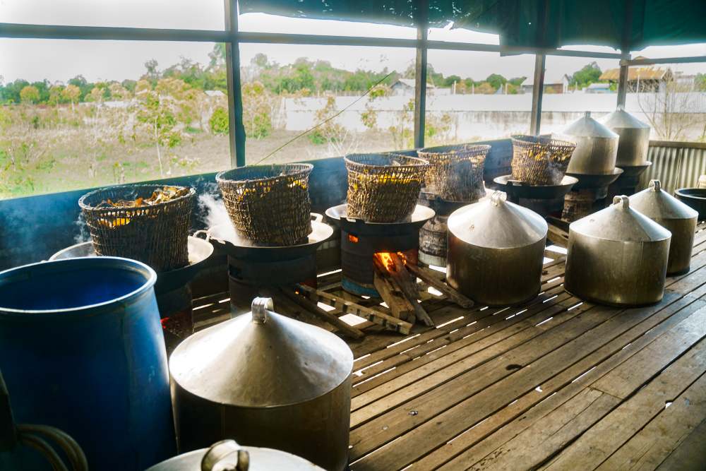 Fermentation of Red Kratom